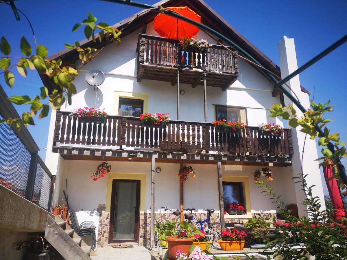 Ferien- Und Businesswohnung Relax Im Ersten Stock Sonnen Buitenkant foto